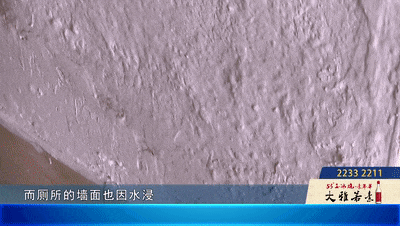 九游體育：佛山一街坊與霉菌“同住”十年！疑鄰居墻面滲水導(dǎo)致對方回應(yīng)：著實有心無力(圖3)